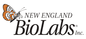 NEBNext Small RNA 單樣本文庫(kù)制備試劑盒(1 種 Index